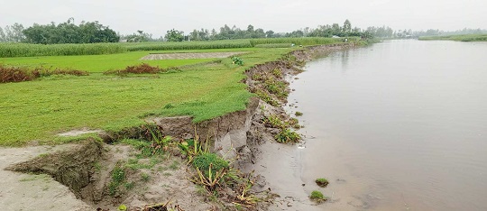 image-here